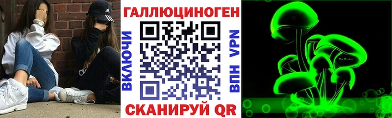 Купить закладки Чебаркуль Псилоцибиновые грибы MAGIC MUSHROOMS